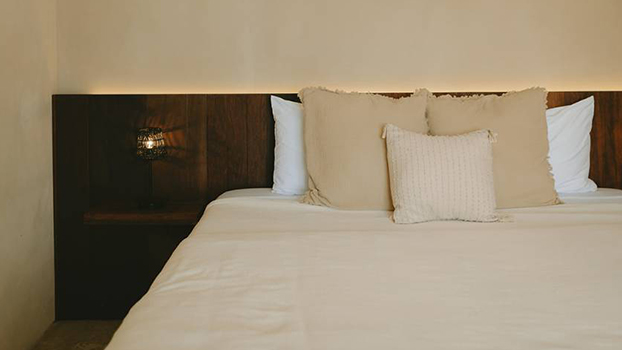 ALBA - Última Foto